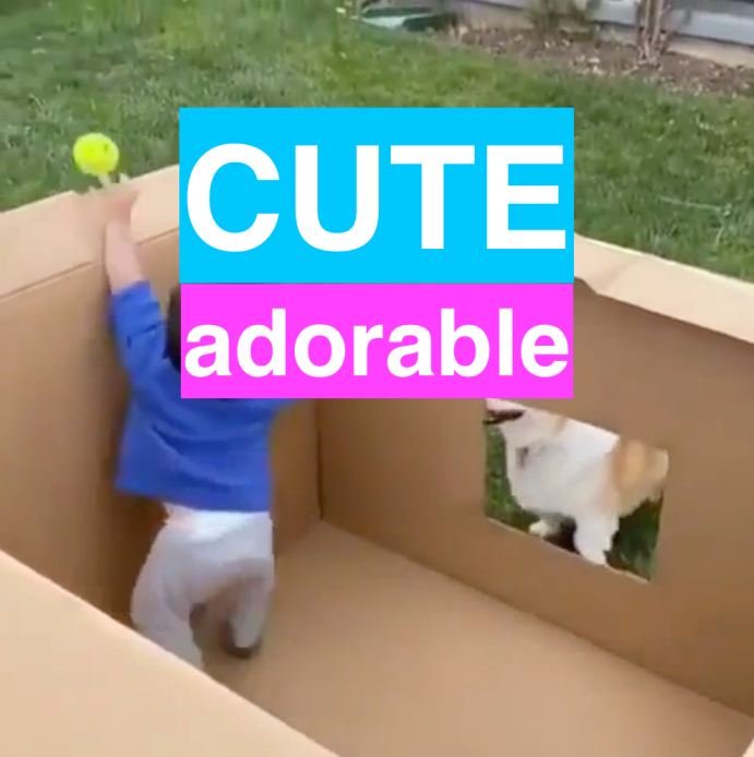 Toddler baby playing fetch with corgi